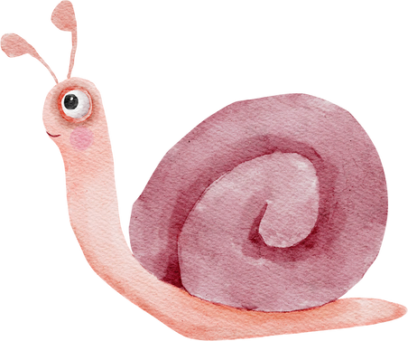 Cute snail watercolor illustration